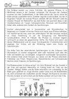 Vorschau - Arbeitsblätter - Frühblüher Sachtext Klasse 4, 5, 6, Lesetexte zum Leseverstehen - Seite 2