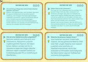 Vorschau - Merkblätter - Bakterien und Viren - Lernkartei - Seite 3