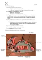 Vorschau - Arbeitsblätter - LED-Nachtlicht Materialpaket - Seite 1