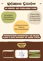 Vorschau - Stundenentwürfe - Natürliche Selektion (Prüfungsstunde, schülerorientiert, differenziert) - Deckblatt