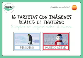 Vista previa - Tarjetas / Manipulativos - 16 TARJETAS CON IMÁGENES REALES EL INVIERNO - página 1