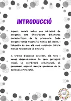 Vista previa - Tarjetas / Manipulativos - Simetria primavera (català) - página 1