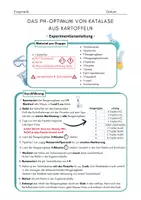 Vorschau - Arbeitsblätter - Experiment: pH-Optimum von Katalase ENZYMATIK - Seite 1
