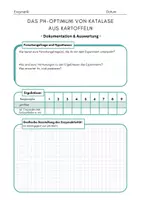 Vorschau - Arbeitsblätter - Experiment: pH-Optimum von Katalase ENZYMATIK - Seite 2