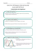 Vorschau - Arbeitsblätter - Experiment: pH-Optimum von Katalase ENZYMATIK - Seite 3