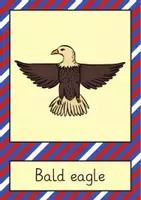 anteprima - Flashcard - USA flash cards / Carte illustrate (Inglese) - Pagina 3