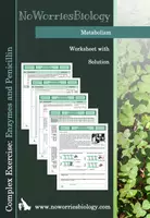 Vorschau - Arbeitsblätter - Metabolism - Complex Exercise - Enzymes and Penicillin - Deckblatt