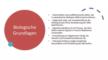 Vorschau - Präsentationen/Tafelbilder - Der Mensch als Natur- und Kulturwesen - Ethikunterricht - Seite 2