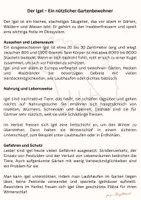 Vorschau - Arbeitsblätter - Leseprobe/Sachtexte verstehen Klasse 4 Probevorbereitung - Seite 2