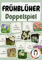 Vorschau - Spiele - Frühblüher Doppelspiel | Frühling Blumen Lernspiel - Deckblatt