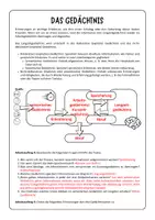 Vorschau - Arbeitsblätter - Psychologie Arbeitsblätter: Das Gedächtnis (Mehrspeichermodell) - Seite 3