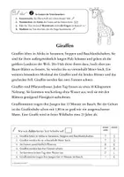 Vorschau - Arbeitsblätter - Tiere Afrikas. Texte lesen und knacken. Leseverständnis - Seite 2