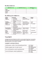 Vorschau - Arbeitsblätter - Verben - ein Überblick / Fachbegriffe - Seite 2