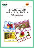 Vista previa - Unidades / Secuencias / Situaciones de Aprendizaje - PACK DE TARGETES AMB IMATGES REALS (CAT) - página 1