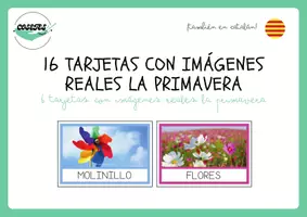 Vista previa - Unidades / Secuencias / Situaciones de Aprendizaje - PACK DE TARGETES AMB IMATGES REALS (CAT) - página 2