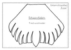 Vorschau - Mal- und Bastelvorlagen - Magische Unterrichtseinheit - Eulen basteln - Seite 2