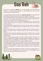 Vorschau - Stationenlernen - Heimische Wildtiere_Klasse 5/6_Materialpaket - Seite 1