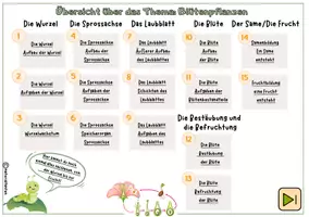 Vorschau - Unterrichtsreihen - Blütenpflanzen: interaktive Datei / Alle Wissenskarten auch zum Ausdrucken - Seite 1
