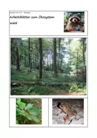 Vorschau - Arbeitsblätter - Arbeitsblätter zum Ökosystem Wald - Deckblatt