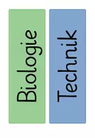 Vorschau - Stundenentwürfe - Komplettpaket Bionik: Reihentransparenz, Unterrichtsentwurf, Material zur Klette - Seite 2