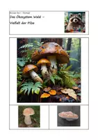 Vorschau - Arbeitsblätter - Ökosystem Wald - Vielfalt der Pilze - Deckblatt