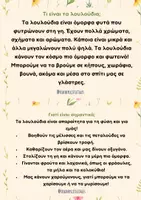 Προεπισκόπηση - Πλάνο μαθήματος / Υλικό για τον εκπαιδευτικό - Θεματική ενότητα Λουλούδια - Teacher's Little Tales - Σελίδα 2