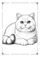 Vorschau - Mal- und Bastelvorlagen - Katzen Ausmalbilder - Seite 2
