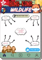 Vorschau - Arbeitsblätter - Hong-Kong Wildlife Writing - Grade 9 - Seite 1