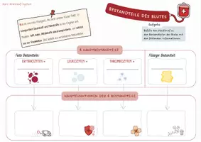Vorschau - Arbeitsblätter - Bestandteile des Blutes Steckbrief - Deckblatt