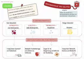 Vorschau - Arbeitsblätter - Bestandteile des Blutes Steckbrief - Seite 1