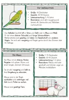 Vorschau - Arbeitsblätter - Haustiere: Wissenskartei und Heft - Seite 3