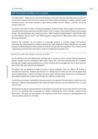 Vorschau - Unterrichtsreihen - Reformation | Martin Luther King - Teaching Series - Seite 3