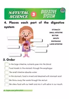 Vista previa - Hojas de trabajo - 3P Natural Science OUR BODY (BODY SYSTEM) - página 3