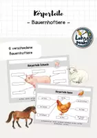 Vorschau - Poster - Körperteile von Bauernhoftieren 🐄🐏 - Deckblatt