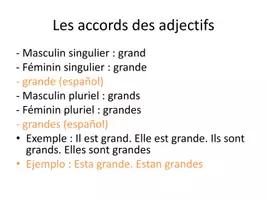Aperçu - Préparation de séance / Séance complète - Description_physique_Français_Niveau A1 - Page 3