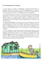 Vorschau - Arbeitsblätter - Jane Goodall Steckbrief und Texte Sachunterricht - Seite 3