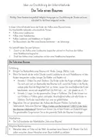 Vorschau - Arbeitsblätter - Teile des Baumes - Materialpaket - Seite 3