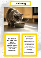 Vorschau - Stationenlernen - Britisch Kurzhaar (Katzenrasse aus Europa) – Steckbrief inklusive – Kontinente entdecken – Montessori Lernkarten zur kosmischen Erziehung - Seite 1