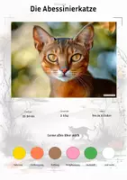 Vorschau - Arbeitsblätter - Die Abessinierkatze (Katzenrasse aus Afrika) – Steckbrief inklusive – Kontinente entdecken – Montessori Lernkarten zur kosmischen Erziehung - Deckblatt