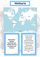 Vorschau - Arbeitsblätter - Die Abessinierkatze (Katzenrasse aus Afrika) – Steckbrief inklusive – Kontinente entdecken – Montessori Lernkarten zur kosmischen Erziehung - Seite 2