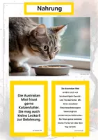 Vorschau - Arbeitsblätter - Die Australian Mist (Katzenrasse aus Australien) – Steckbrief inklusive – Kontinente entdecken – Montessori Lernkarten zur kosmischen Erziehung - Seite 1