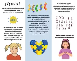 Vista previa - Tarjetas / Manipulativos - síndrome de Down ( folleto ) - página 1