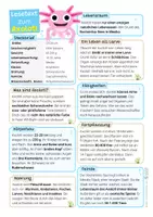 Vorschau - Arbeitsblätter - Axolotl Sparpaket / Materialpaket - mit Lesetext, Steckbrief, Lückentext, Suchsel, Satzpaare, Quiz und Ausmalbildern - Seite 1