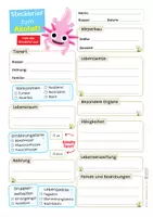 Vorschau - Arbeitsblätter - Axolotl Sparpaket / Materialpaket - mit Lesetext, Steckbrief, Lückentext, Suchsel, Satzpaare, Quiz und Ausmalbildern - Seite 2