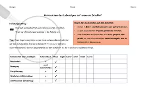 Vorschau - Arbeitsblätter - Kennzeichen des Lebendigen auf dem Schulhof erforschen - Seite 1