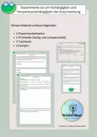 Vorschau - Arbeitsblätter - Enzyme – Schülerexperimente zu pH-Wert & Temperatur | Protokoll + Lösungen | Klasse 10 - Deckblatt