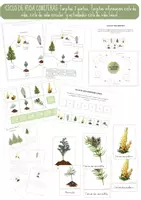 Vista previa - Refuerzo / NEE / Materiales de apoyo - EL BOSQUE - CONIFERAS: Ciclo de vida. - Portada