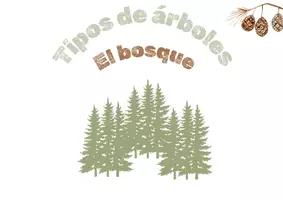 Vista previa - Refuerzo / NEE / Materiales de apoyo - LOS BOSQUES: Flashcards -Tipos de árboles - página 1