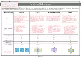 Vorschau - Arbeitsblätter - Membrantransport - Mini Gruppenpuzzle (Diffusion, Kanäle, Transporter & Pumpen) - Seite 1