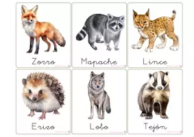 Vista previa - Refuerzo / NEE / Materiales de apoyo - EL BOSQUE: Vocabulario animales. - página 3